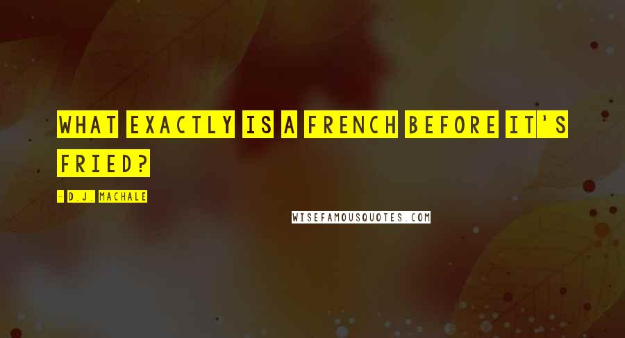 D.J. MacHale Quotes: What exactly is a french before it's fried?