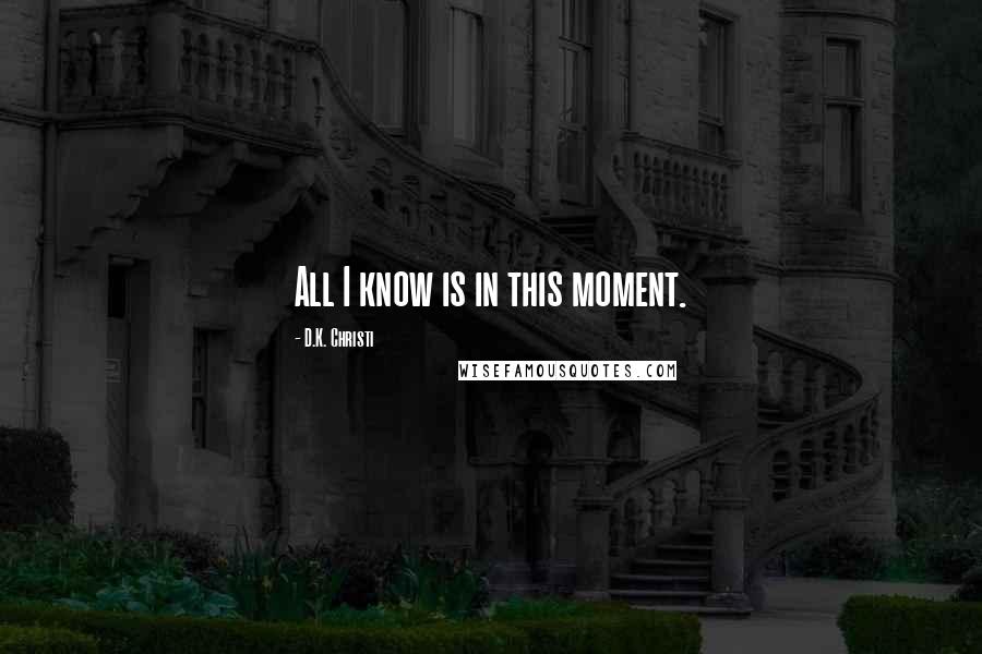 D.K. Christi Quotes: All I know is in this moment.