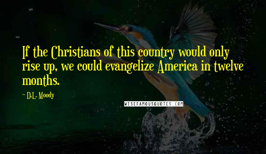 D.L. Moody Quotes: If the Christians of this country would only rise up, we could evangelize America in twelve months.