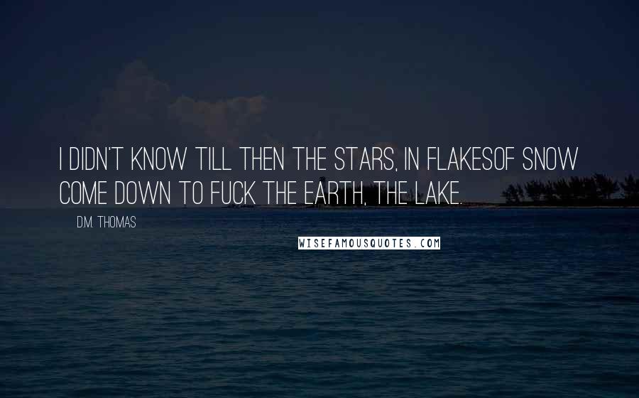 D.M. Thomas Quotes: I didn't know till then the stars, in flakesof snow come down to fuck the earth, the lake.