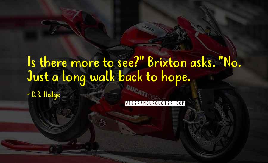 D.R. Hedge Quotes: Is there more to see?" Brixton asks. "No. Just a long walk back to hope.