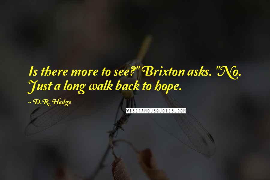 D.R. Hedge Quotes: Is there more to see?" Brixton asks. "No. Just a long walk back to hope.