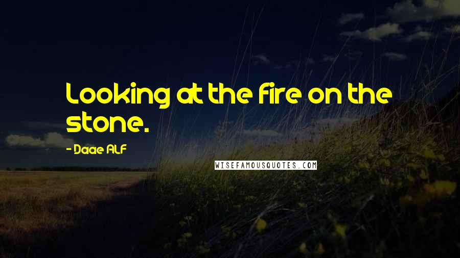 Daae ALF Quotes: Looking at the fire on the stone.