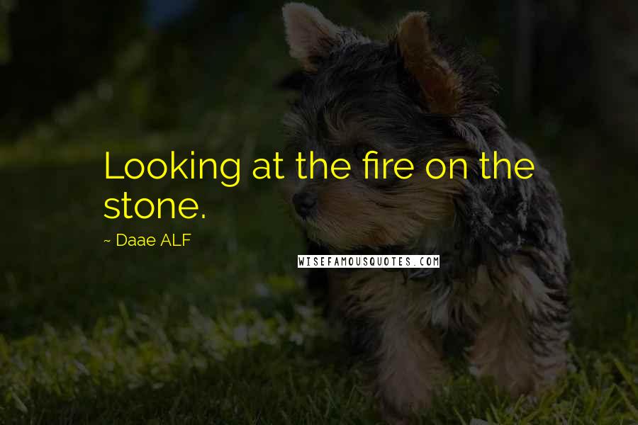 Daae ALF Quotes: Looking at the fire on the stone.
