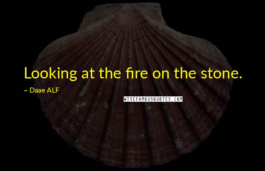 Daae ALF Quotes: Looking at the fire on the stone.