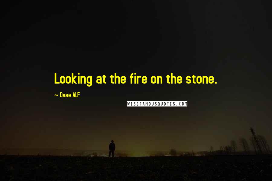 Daae ALF Quotes: Looking at the fire on the stone.