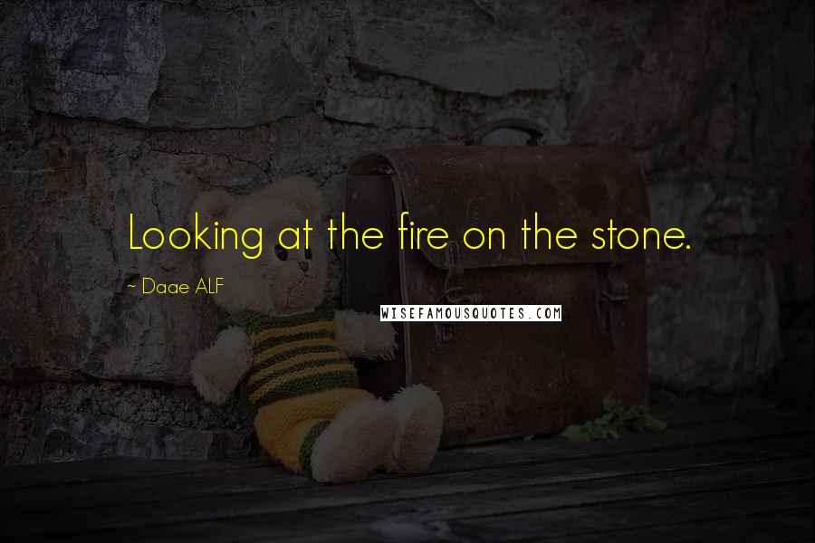 Daae ALF Quotes: Looking at the fire on the stone.