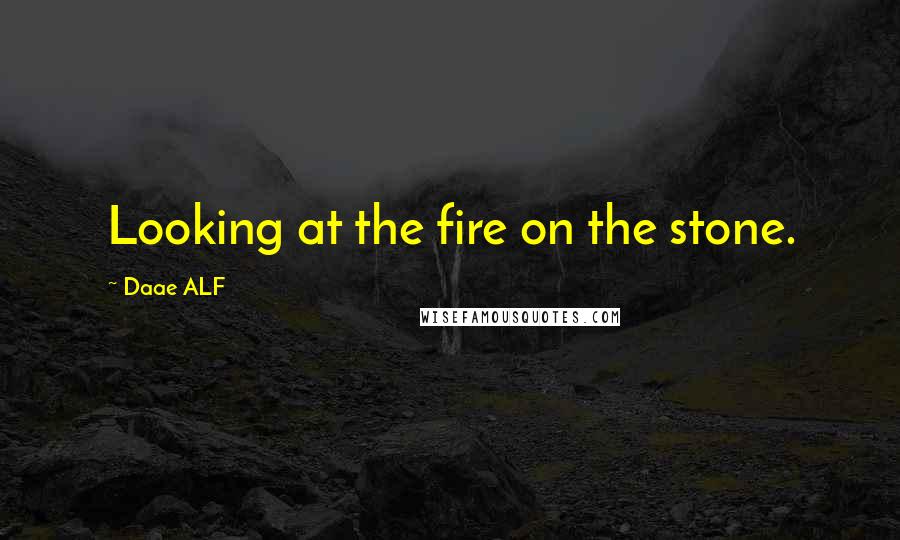 Daae ALF Quotes: Looking at the fire on the stone.