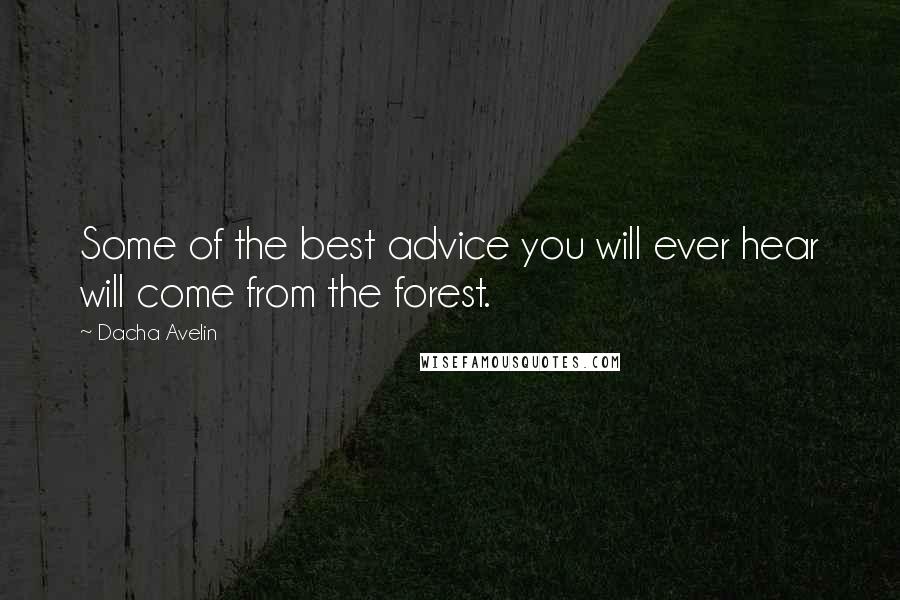 Dacha Avelin Quotes: Some of the best advice you will ever hear will come from the forest.