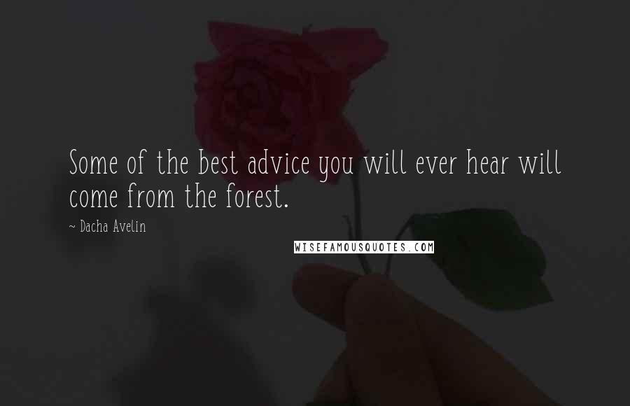 Dacha Avelin Quotes: Some of the best advice you will ever hear will come from the forest.