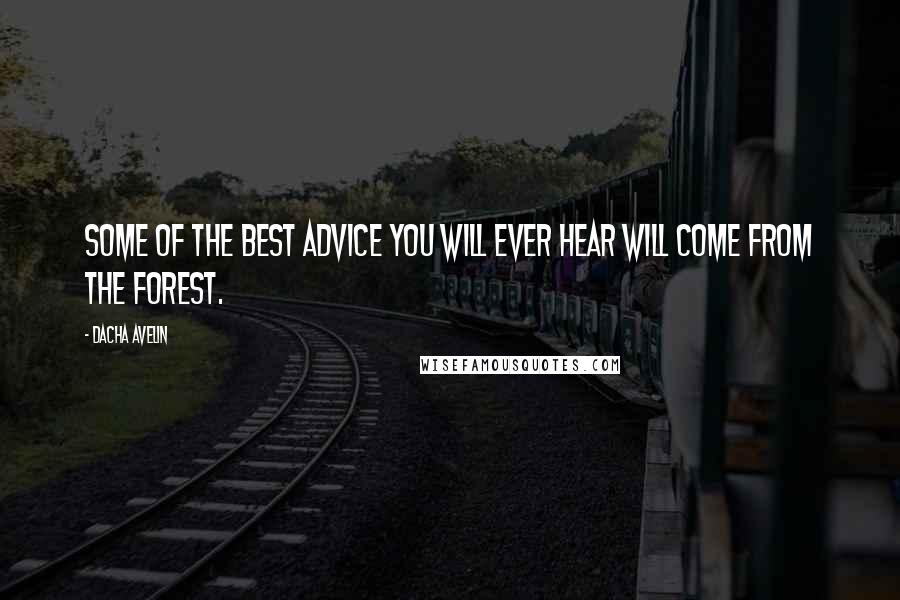 Dacha Avelin Quotes: Some of the best advice you will ever hear will come from the forest.