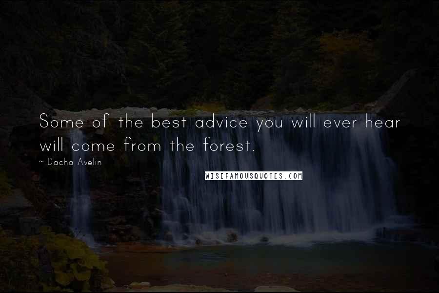 Dacha Avelin Quotes: Some of the best advice you will ever hear will come from the forest.