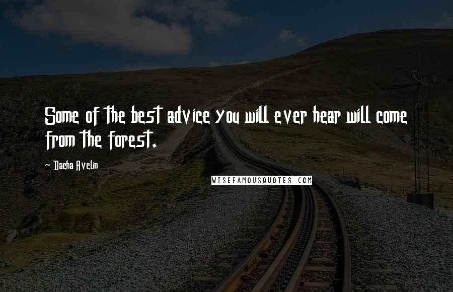 Dacha Avelin Quotes: Some of the best advice you will ever hear will come from the forest.