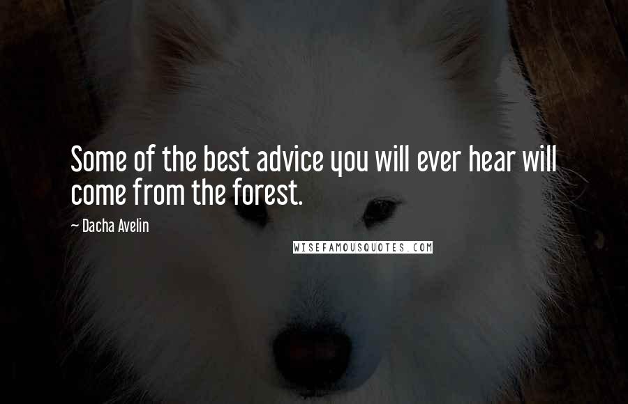 Dacha Avelin Quotes: Some of the best advice you will ever hear will come from the forest.