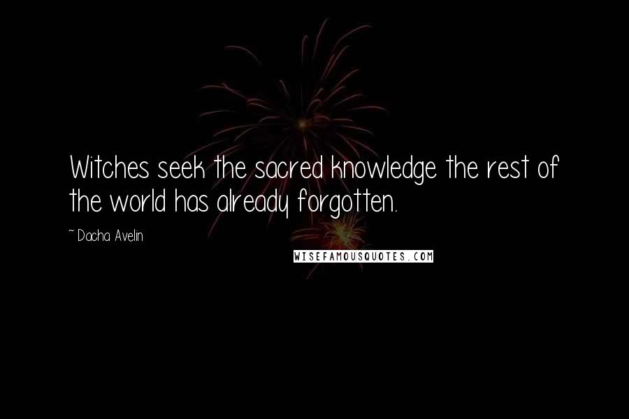 Dacha Avelin Quotes: Witches seek the sacred knowledge the rest of the world has already forgotten.