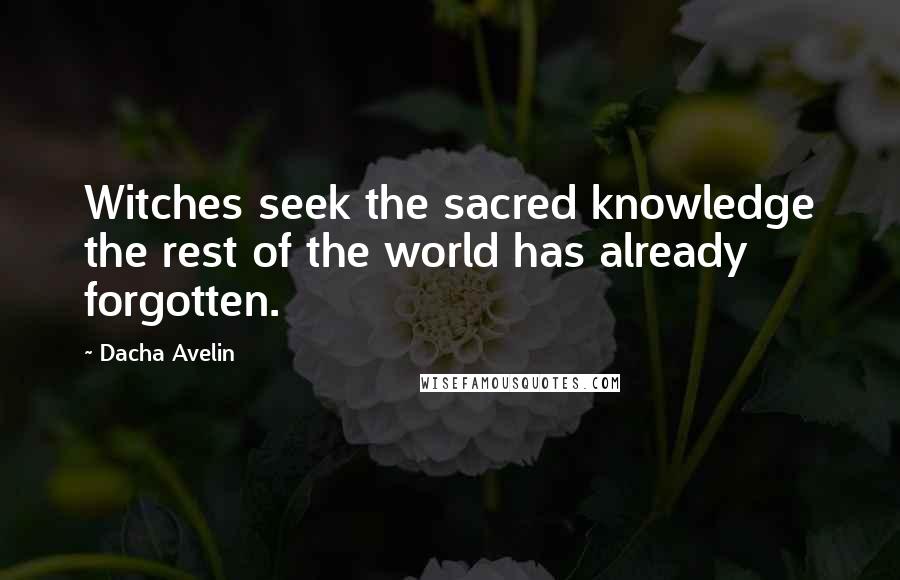 Dacha Avelin Quotes: Witches seek the sacred knowledge the rest of the world has already forgotten.