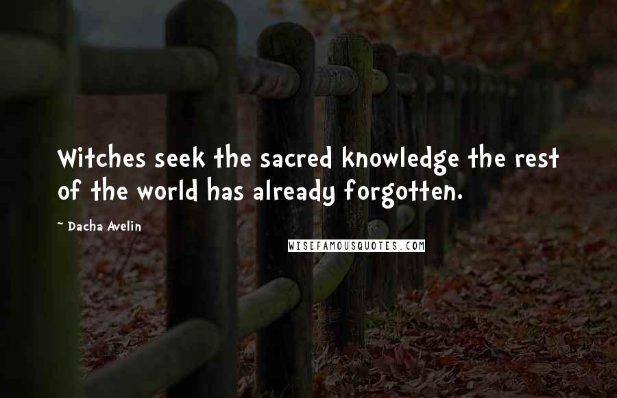 Dacha Avelin Quotes: Witches seek the sacred knowledge the rest of the world has already forgotten.