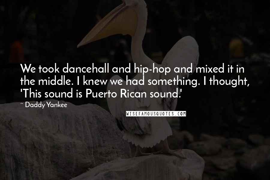 Daddy Yankee Quotes: We took dancehall and hip-hop and mixed it in the middle. I knew we had something. I thought, 'This sound is Puerto Rican sound.'