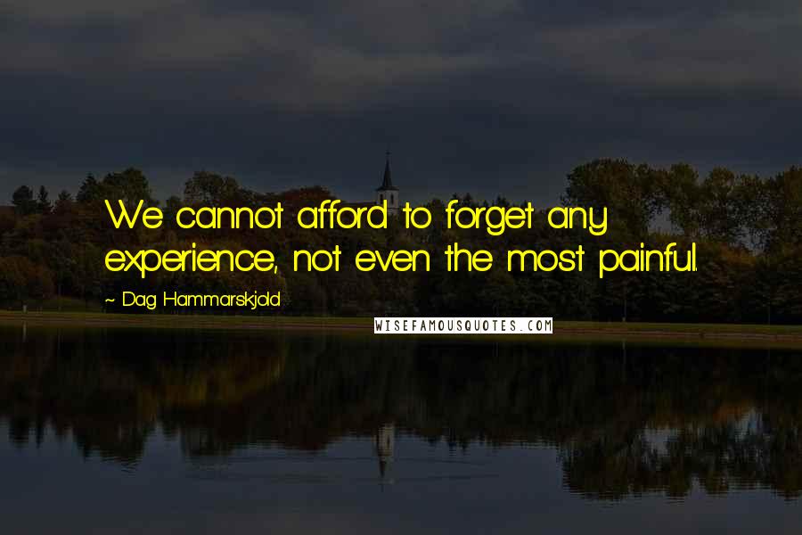 Dag Hammarskjold Quotes: We cannot afford to forget any experience, not even the most painful.