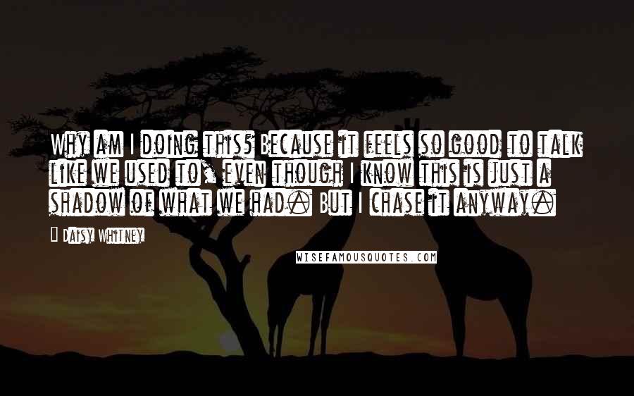 Daisy Whitney Quotes: Why am I doing this? Because it feels so good to talk like we used to, even though I know this is just a shadow of what we had. But I chase it anyway.