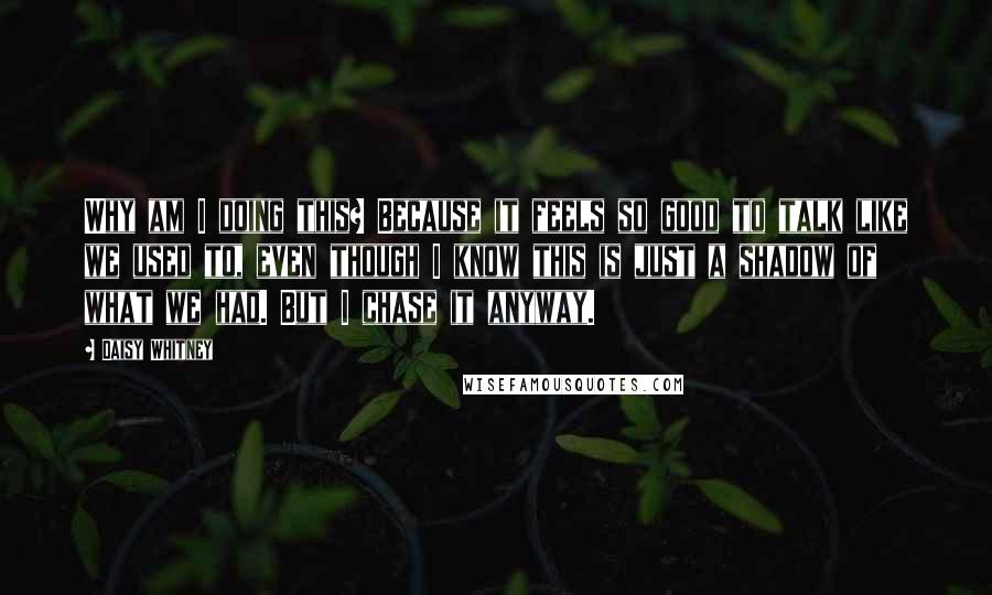 Daisy Whitney Quotes: Why am I doing this? Because it feels so good to talk like we used to, even though I know this is just a shadow of what we had. But I chase it anyway.