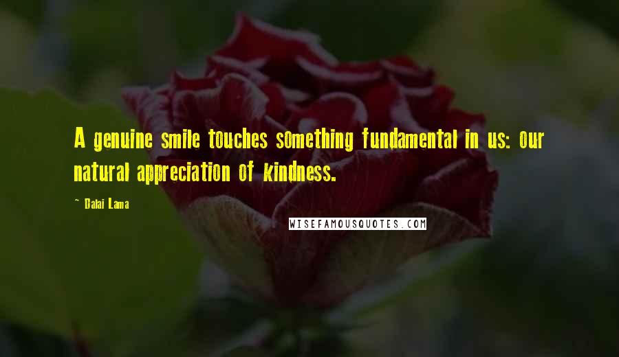 Dalai Lama Quotes: A genuine smile touches something fundamental in us: our natural appreciation of kindness.