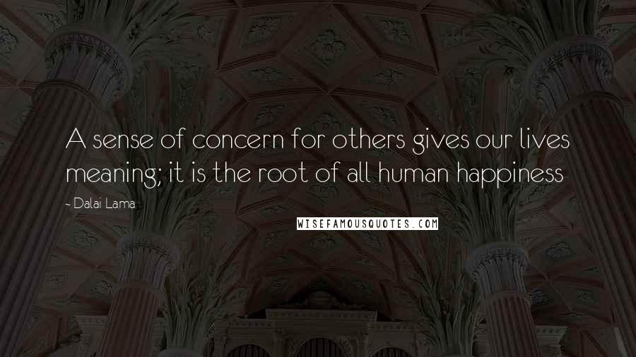 Dalai Lama Quotes: A sense of concern for others gives our lives meaning; it is the root of all human happiness