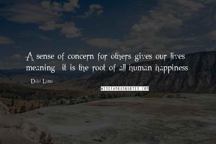 Dalai Lama Quotes: A sense of concern for others gives our lives meaning; it is the root of all human happiness