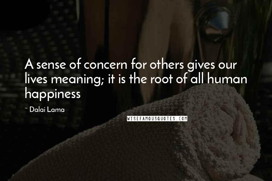 Dalai Lama Quotes: A sense of concern for others gives our lives meaning; it is the root of all human happiness