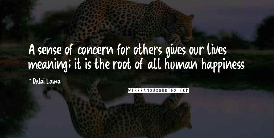 Dalai Lama Quotes: A sense of concern for others gives our lives meaning; it is the root of all human happiness