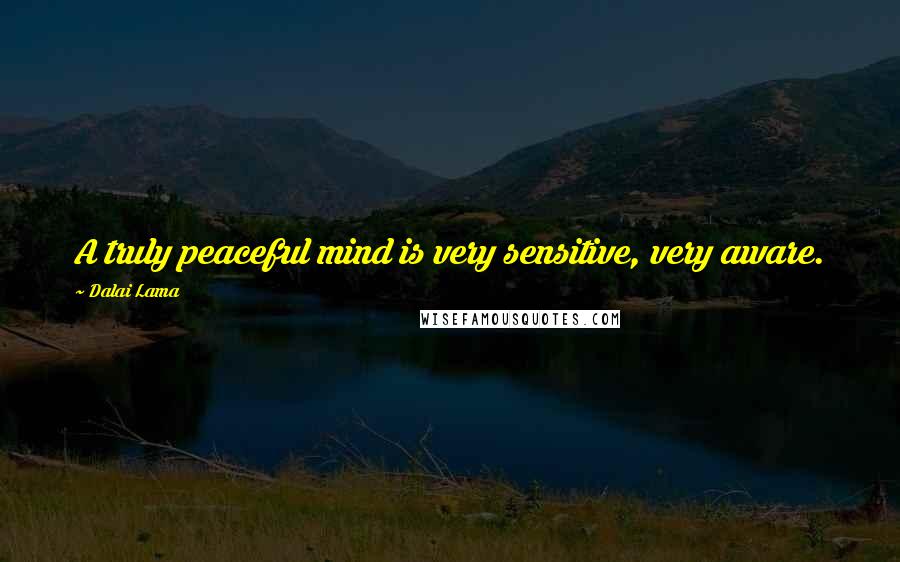 Dalai Lama Quotes: A truly peaceful mind is very sensitive, very aware.