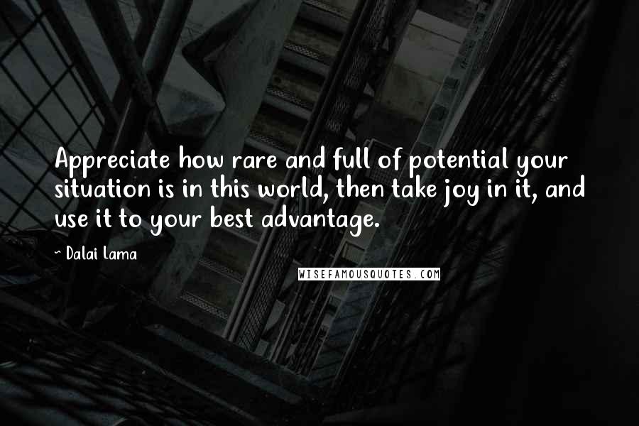 Dalai Lama Quotes: Appreciate how rare and full of potential your situation is in this world, then take joy in it, and use it to your best advantage.