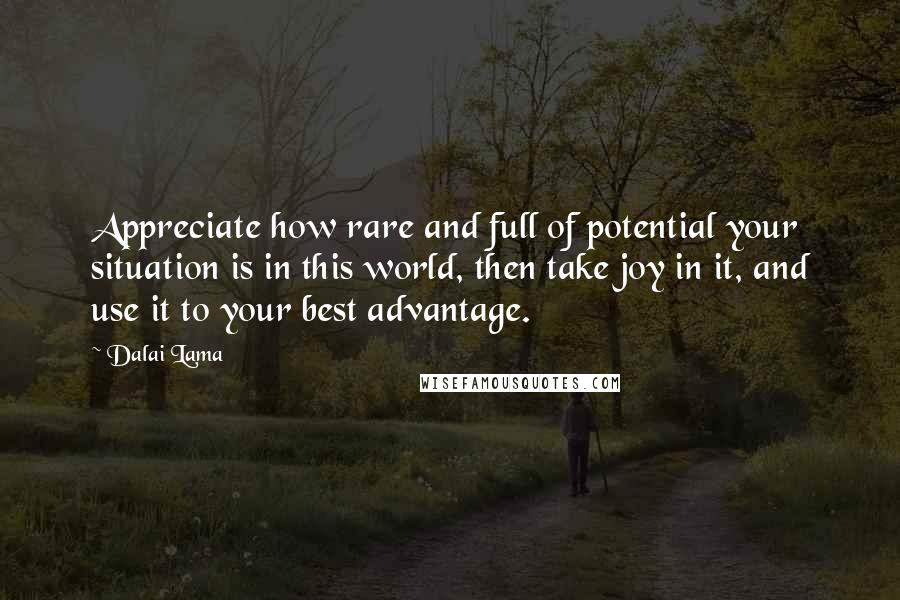 Dalai Lama Quotes: Appreciate how rare and full of potential your situation is in this world, then take joy in it, and use it to your best advantage.