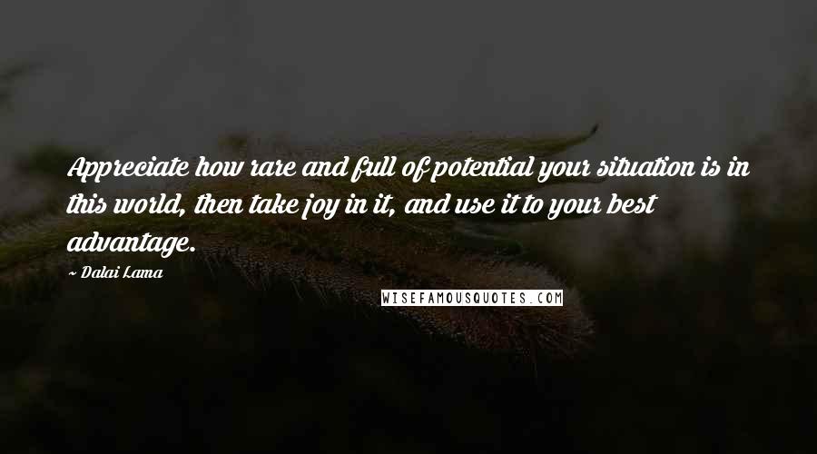 Dalai Lama Quotes: Appreciate how rare and full of potential your situation is in this world, then take joy in it, and use it to your best advantage.