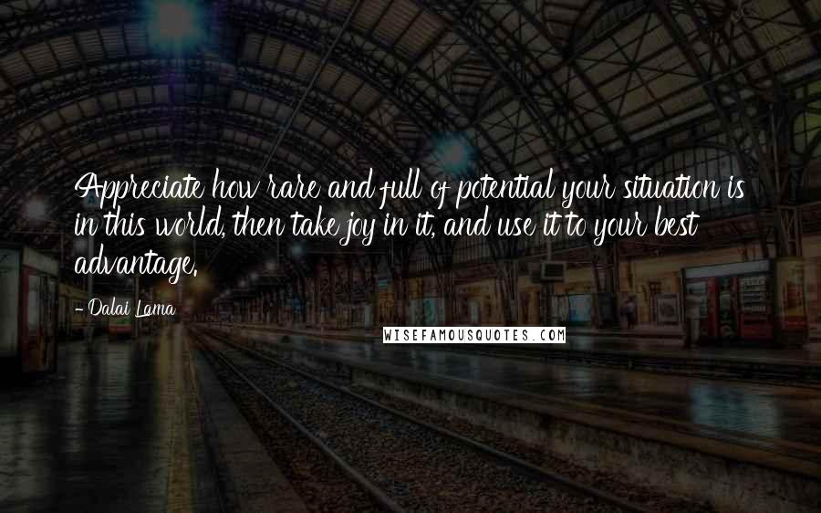 Dalai Lama Quotes: Appreciate how rare and full of potential your situation is in this world, then take joy in it, and use it to your best advantage.
