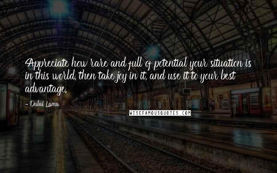 Dalai Lama Quotes: Appreciate how rare and full of potential your situation is in this world, then take joy in it, and use it to your best advantage.