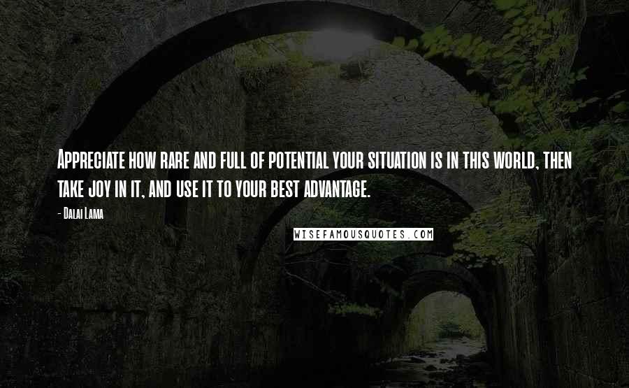 Dalai Lama Quotes: Appreciate how rare and full of potential your situation is in this world, then take joy in it, and use it to your best advantage.