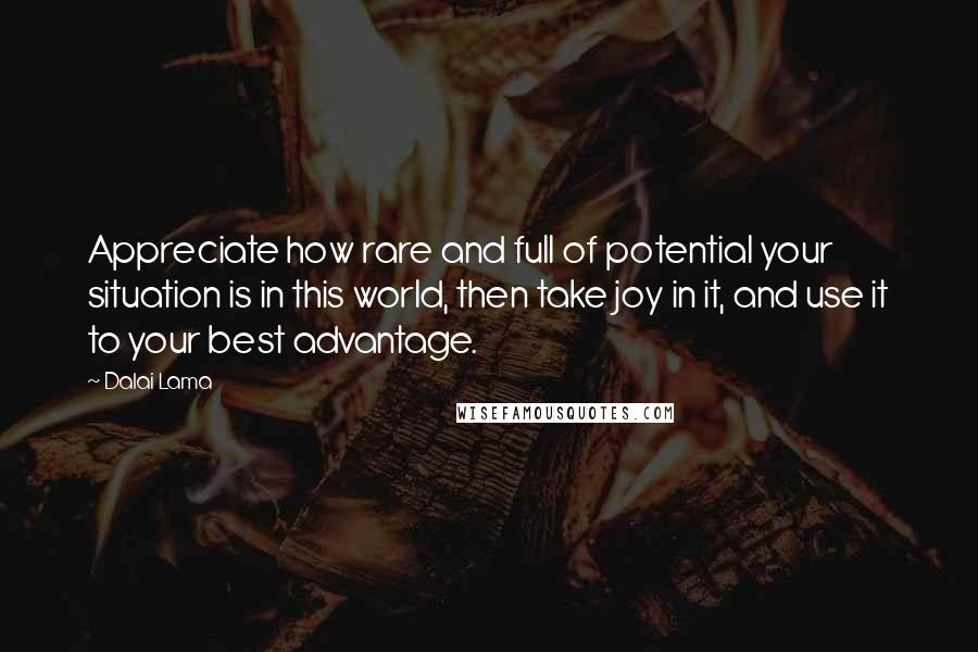 Dalai Lama Quotes: Appreciate how rare and full of potential your situation is in this world, then take joy in it, and use it to your best advantage.