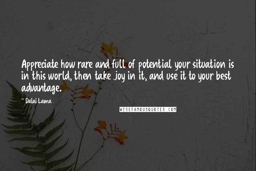 Dalai Lama Quotes: Appreciate how rare and full of potential your situation is in this world, then take joy in it, and use it to your best advantage.