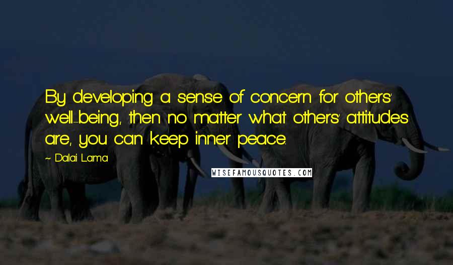 Dalai Lama Quotes: By developing a sense of concern for others' well-being, then no matter what others' attitudes are, you can keep inner peace.