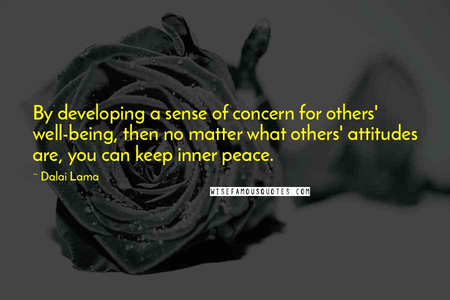 Dalai Lama Quotes: By developing a sense of concern for others' well-being, then no matter what others' attitudes are, you can keep inner peace.