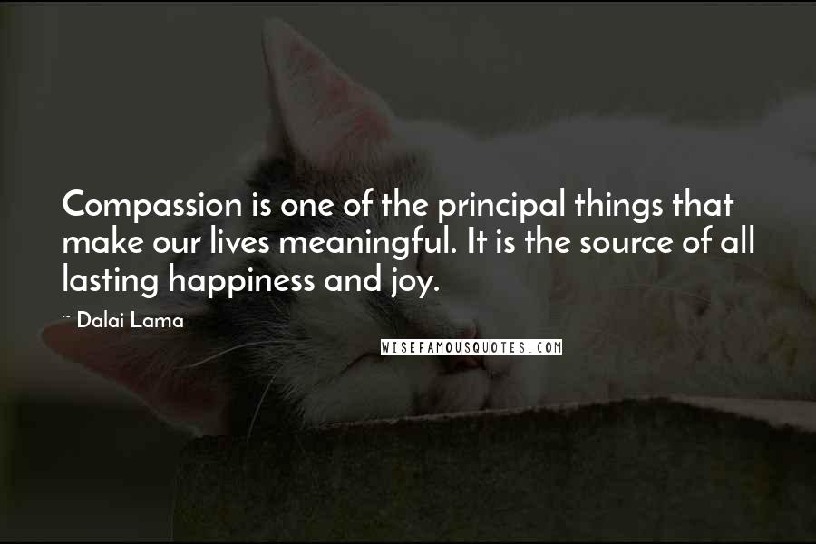 Dalai Lama Quotes: Compassion is one of the principal things that make our lives meaningful. It is the source of all lasting happiness and joy.