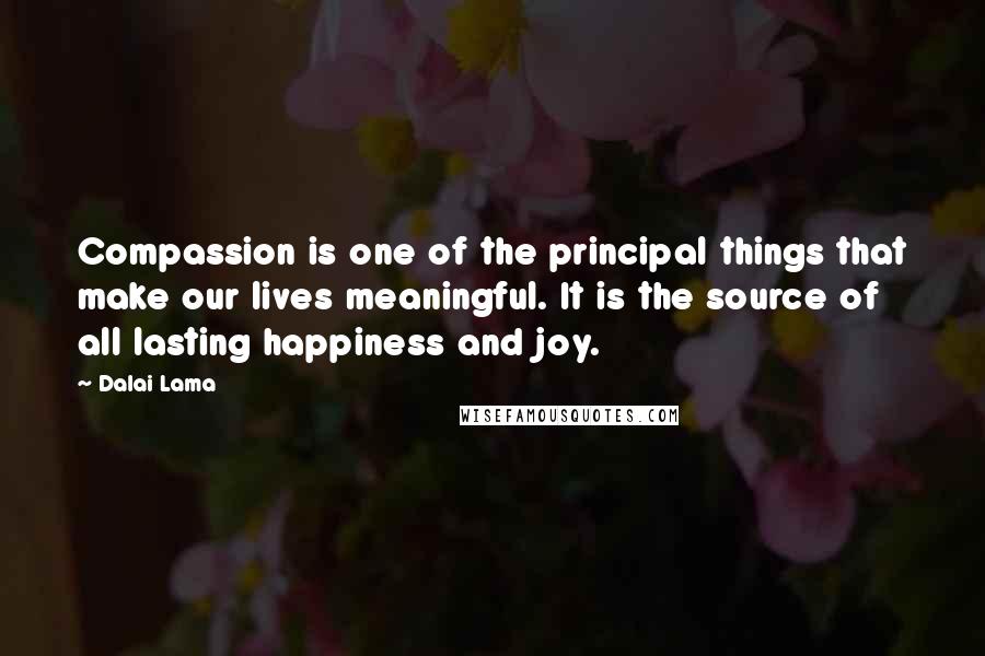 Dalai Lama Quotes: Compassion is one of the principal things that make our lives meaningful. It is the source of all lasting happiness and joy.