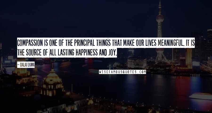 Dalai Lama Quotes: Compassion is one of the principal things that make our lives meaningful. It is the source of all lasting happiness and joy.