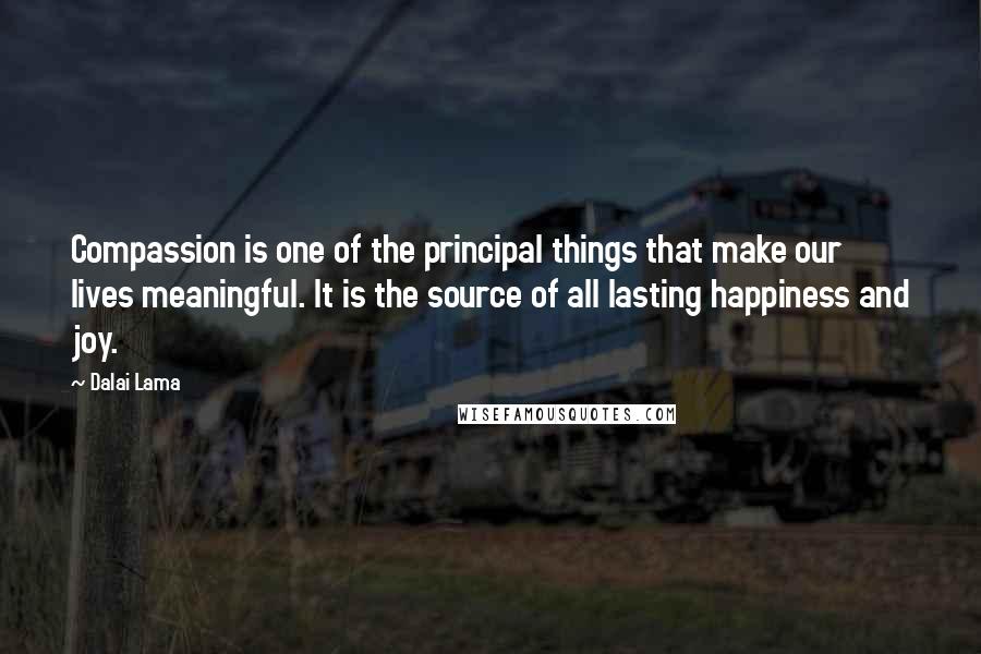 Dalai Lama Quotes: Compassion is one of the principal things that make our lives meaningful. It is the source of all lasting happiness and joy.