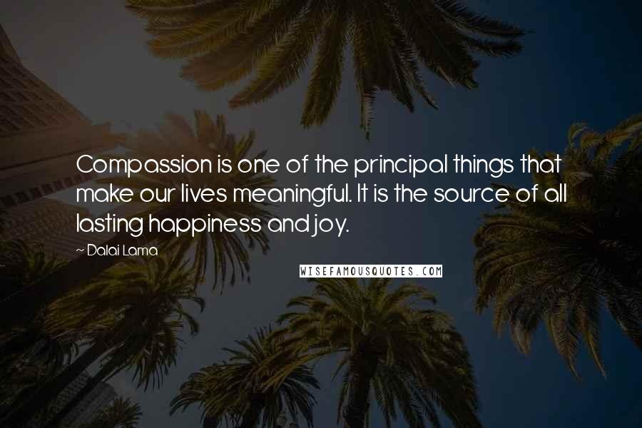 Dalai Lama Quotes: Compassion is one of the principal things that make our lives meaningful. It is the source of all lasting happiness and joy.