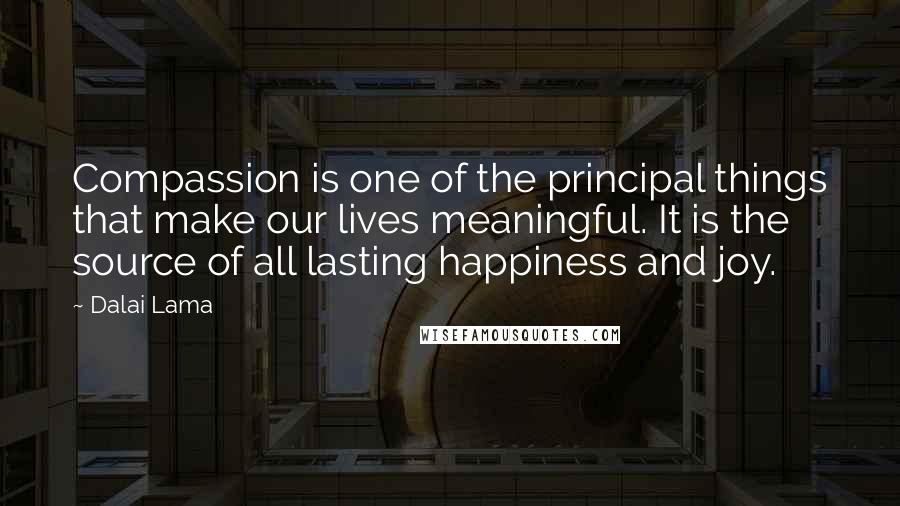 Dalai Lama Quotes: Compassion is one of the principal things that make our lives meaningful. It is the source of all lasting happiness and joy.