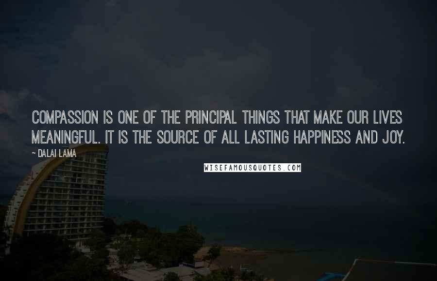 Dalai Lama Quotes: Compassion is one of the principal things that make our lives meaningful. It is the source of all lasting happiness and joy.