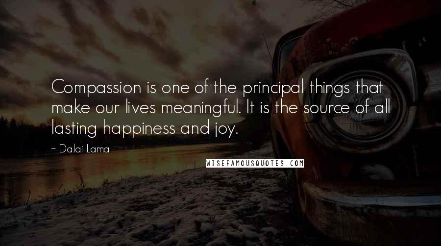Dalai Lama Quotes: Compassion is one of the principal things that make our lives meaningful. It is the source of all lasting happiness and joy.