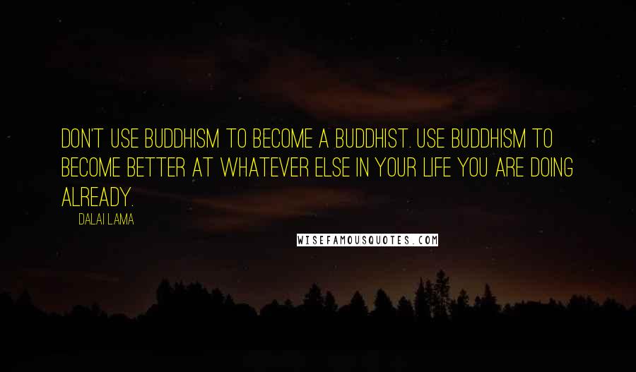 Dalai Lama Quotes: Don't use Buddhism to become a Buddhist. Use Buddhism to become better at whatever else in your life you are doing already.